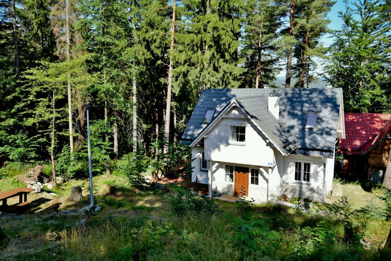 Gorski Domek Kolo Karpacza- Apartamentuj Exteriér fotografie
