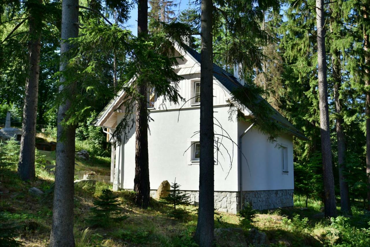 Gorski Domek Kolo Karpacza- Apartamentuj Exteriér fotografie